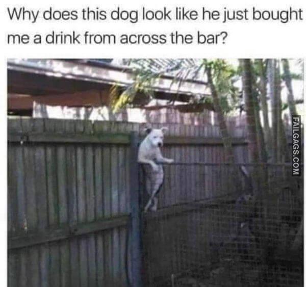 Random Funny Memes 4 1