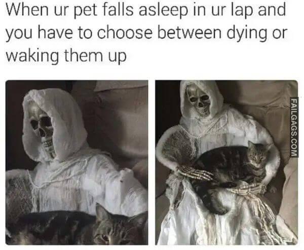 Random Funny Memes 7 1