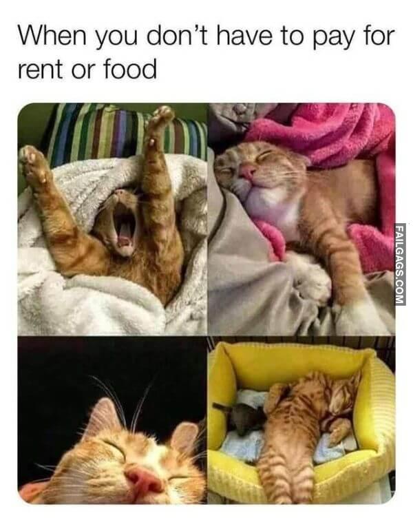 Random Funny Memes 8 2