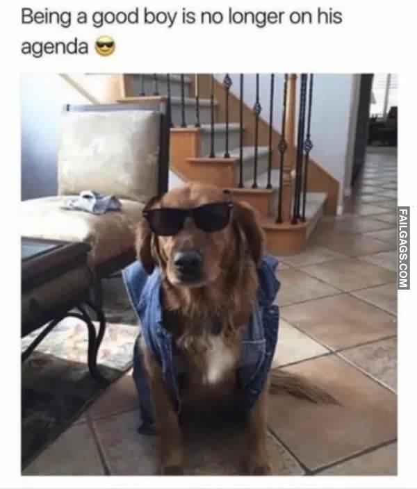 Random Funny Memes 9 1