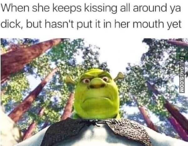 Funny NSFW Memes 11 1