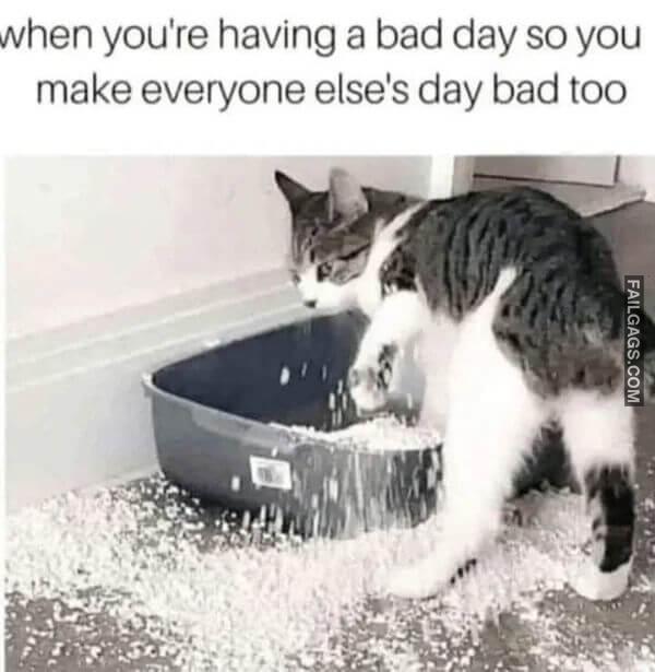 Funny Random Memes 1