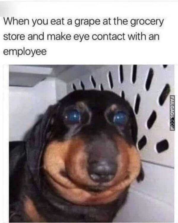 Funny Random Memes 7