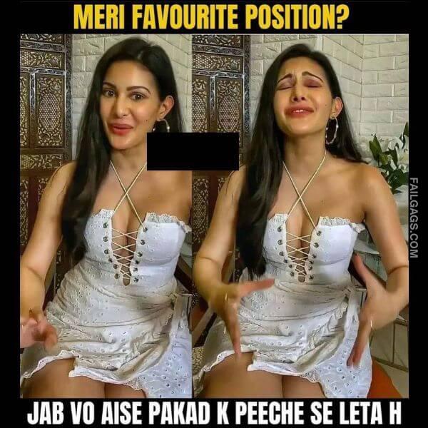 Meri Favourite Position Jab Vo Aise Pakad K Peeche Se Leta H Indian Sex Memes