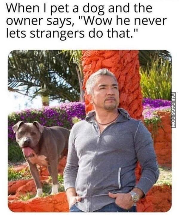 Random Funny Memes 11 1