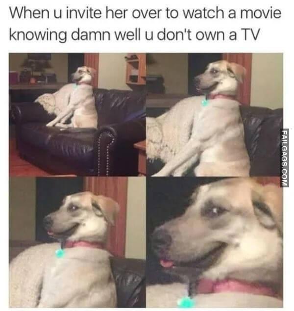 Random Funny Memes 13