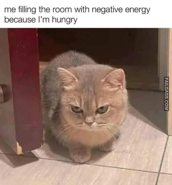 Random Funny Memes 7 1