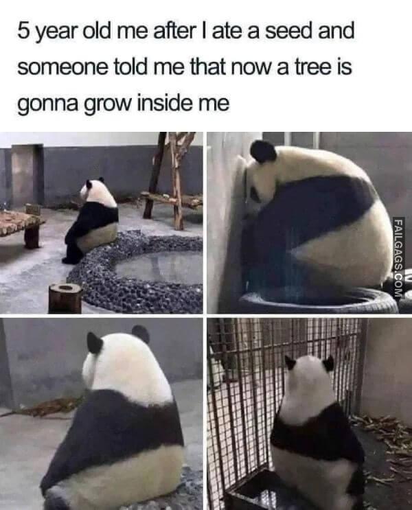 Random Funny Memes 8 1