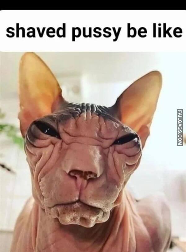 Funny Adult Memes 3 1