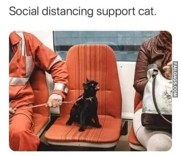 Funny Dank Memes 10 1