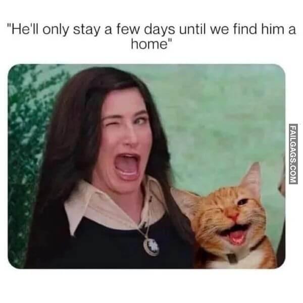 Funny Dank Memes 2 1