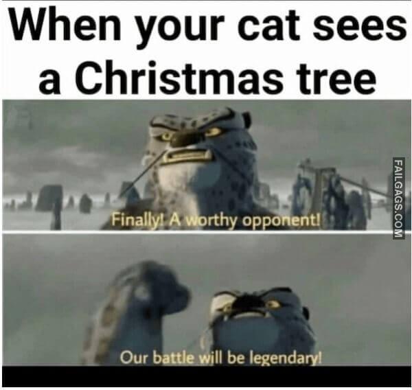 Hilarious Christmas Memes 6