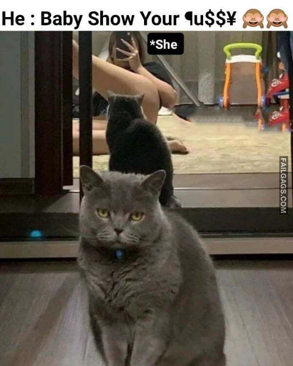 Indian Adult Memes 3