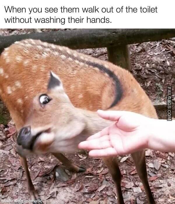 Random Funny Memes 5