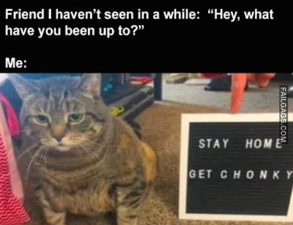 funny Relatable Memes 2