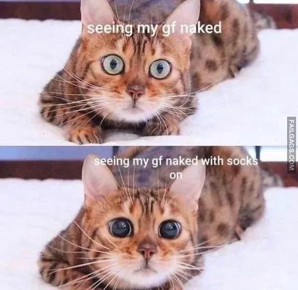 Dirty Memes for Men 4