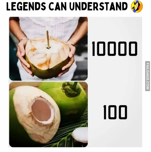 Double Meaning Indian Memes 5 1