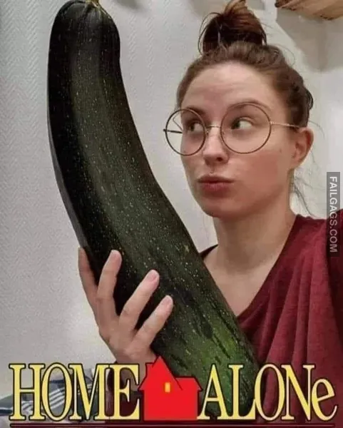 Home Alone Funny Sexual Memes