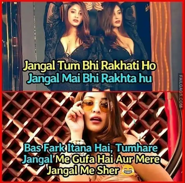 Indian Sex Memes 4 1