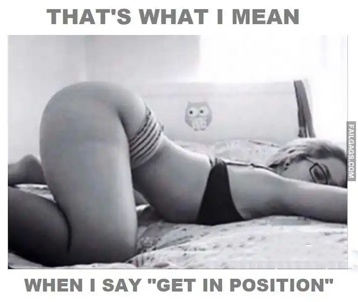 Thats What I Mean When I Say Get in Position Adult Memes