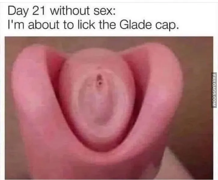 Day 21 Without Sex Im About to Lick the Glade Cap. Adult Memes