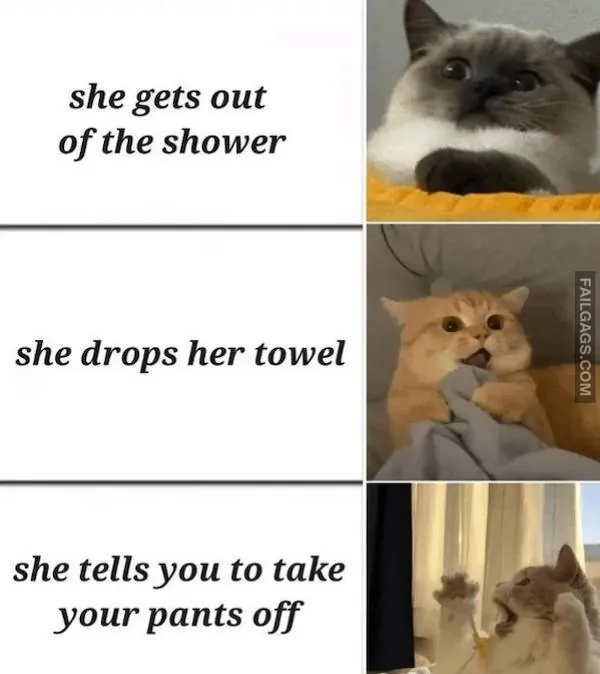 Funny Dirty Memes 10