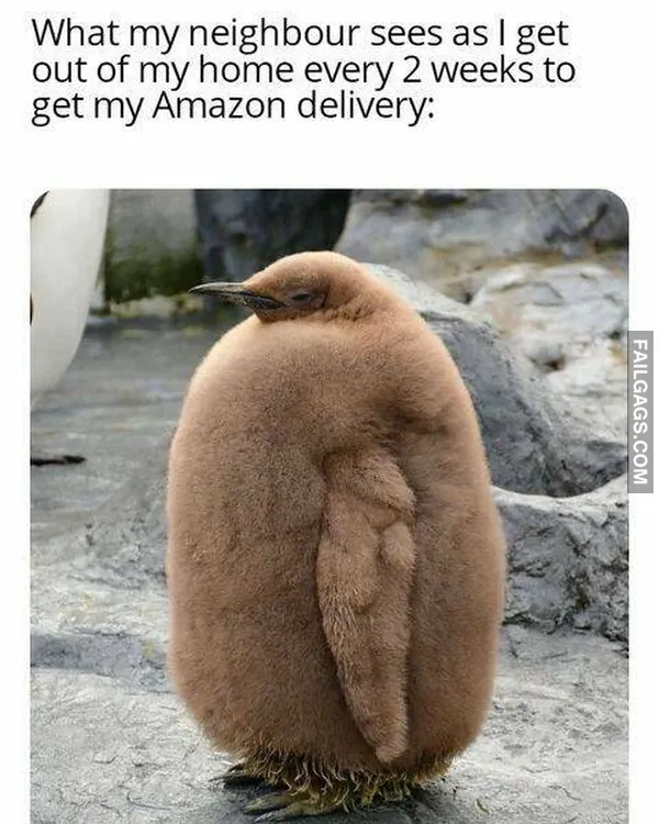 Funny Introvert Memes 11