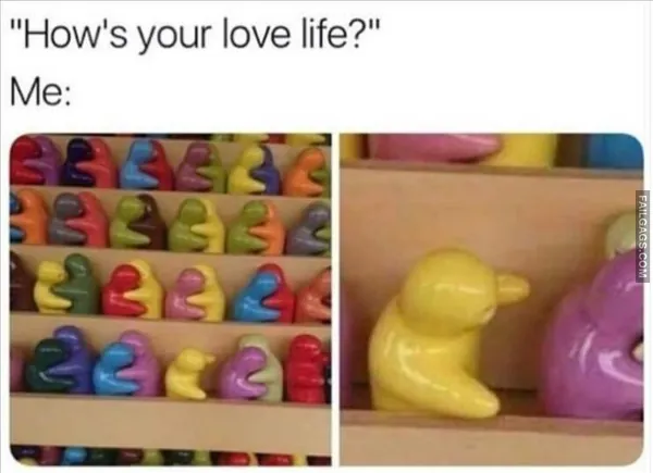 Funny Memes 13 4