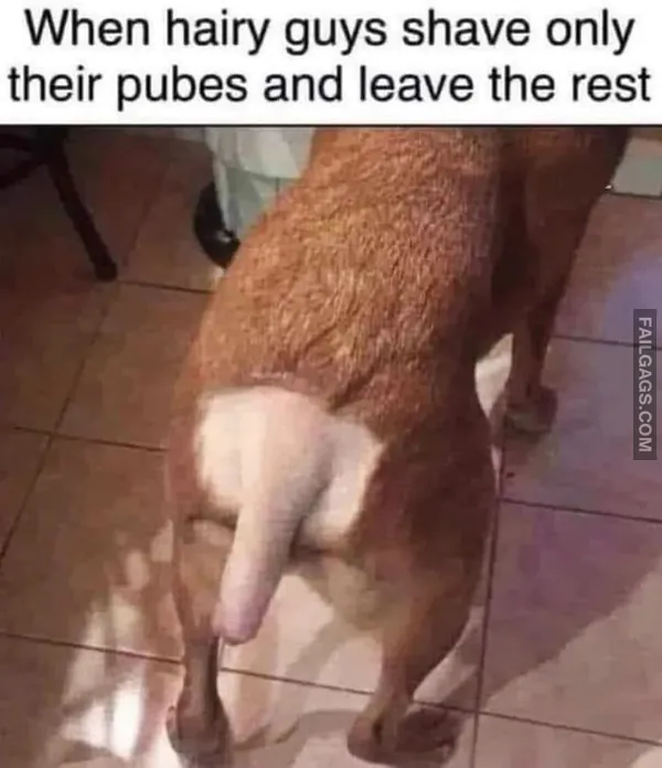 NSFW Memes 10 1