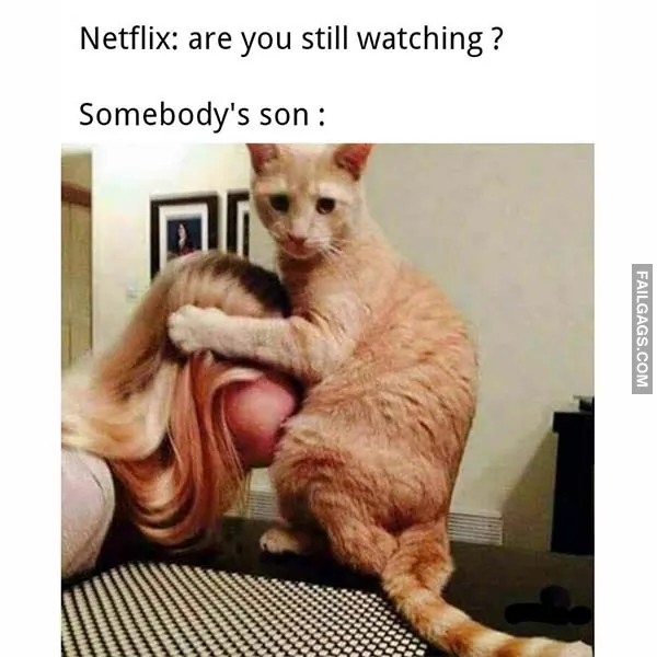 Netflix Are You Still Watching Somebodys Son Adult Memes
