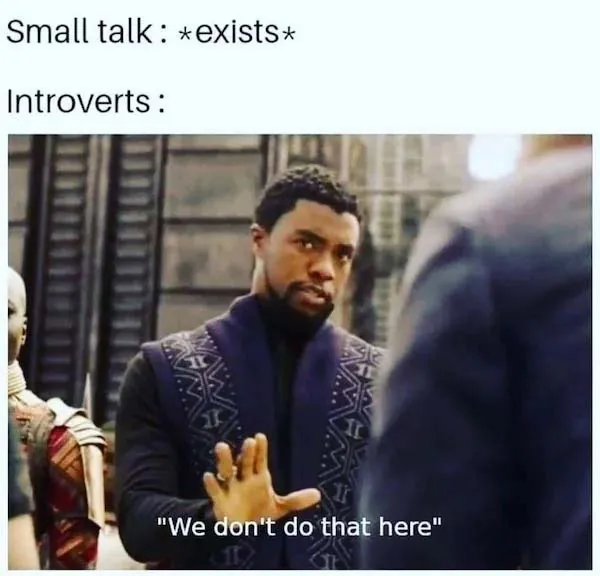 Funny Introvert Memes 1