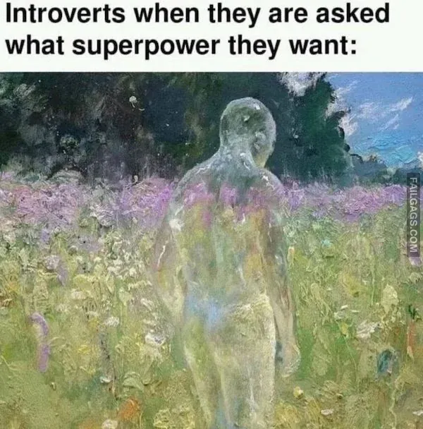 Funny Introvert Memes 3