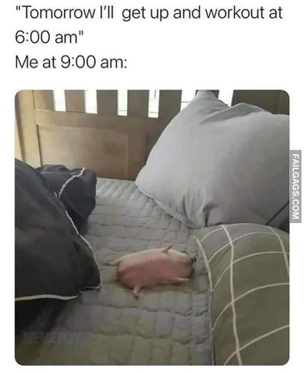 Funny Late Night Memes 11