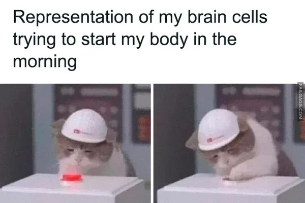 Funny Late Night Memes 2