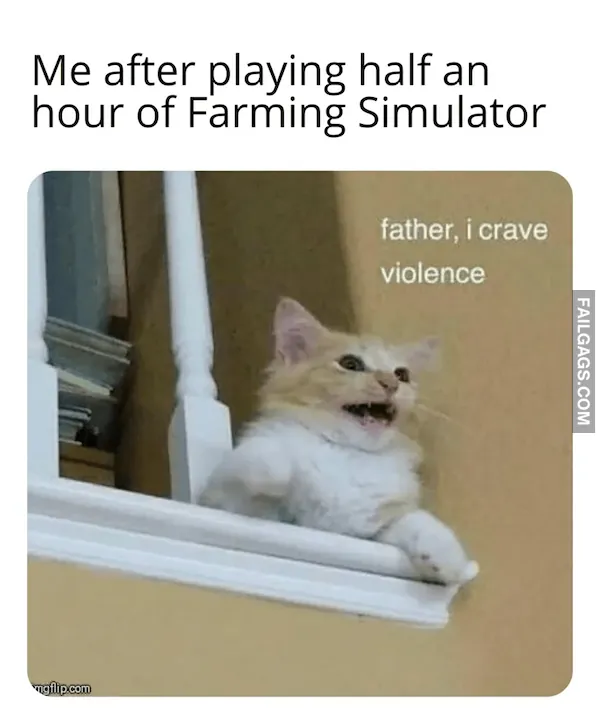 Funny Video Game Memes 7