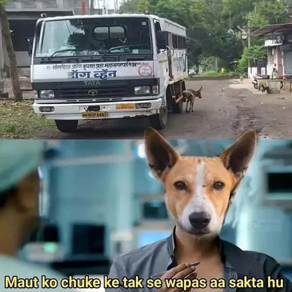 Hilarious Indian Memes 1
