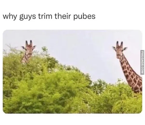 Funny Adult Memes 10 2