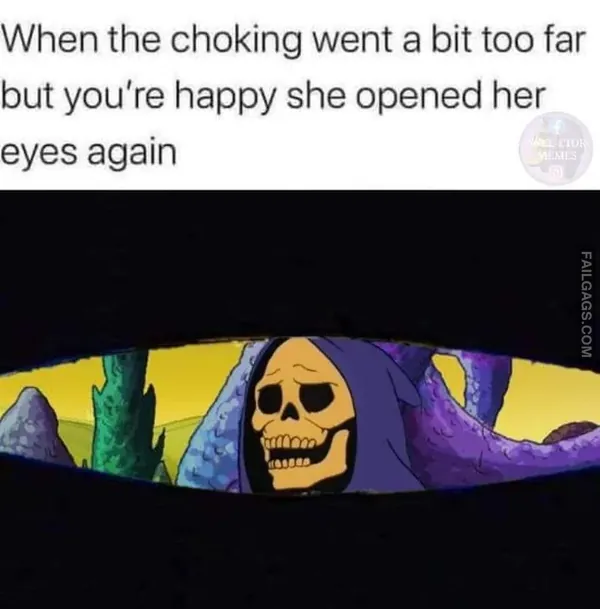 Funny Adult Memes 3 1