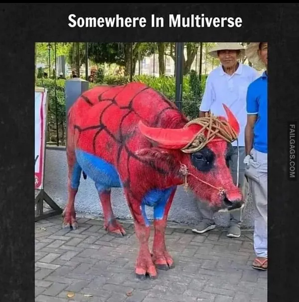 Funny Hindi Memes 6 1