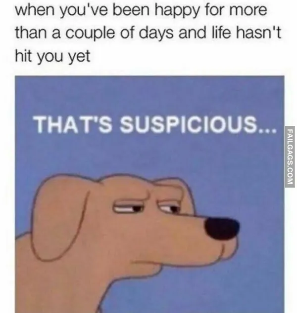 Funny Memes 4 2