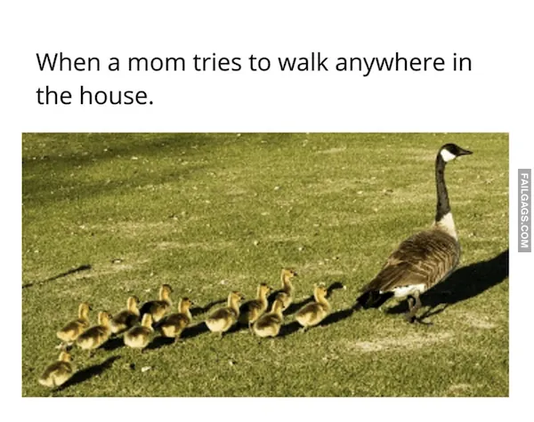 Funny Parenting Memes 4