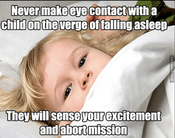 Funny Parenting Memes 6