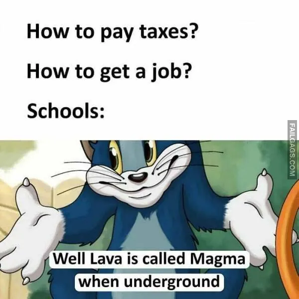 Funny Sarcastic Memes 6