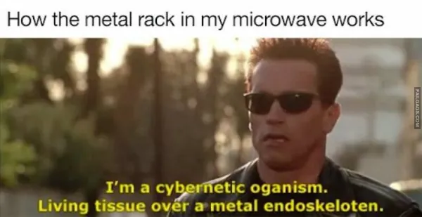 Funny Terminator Memes 5