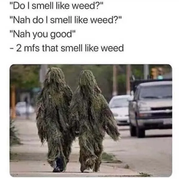 Funny Weed Memes 1