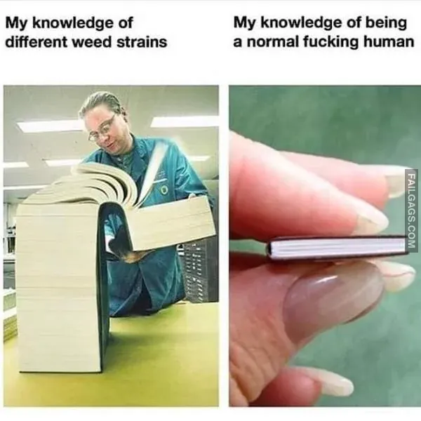 Funny Weed Memes 3
