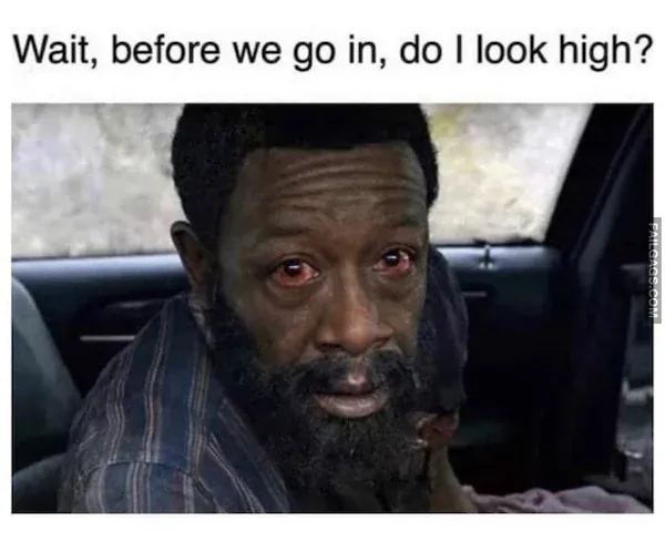 Random Funny Memes 10