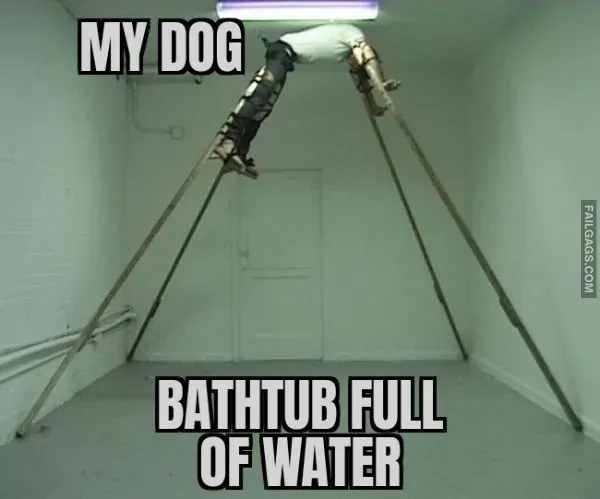 Random Funny Memes 11