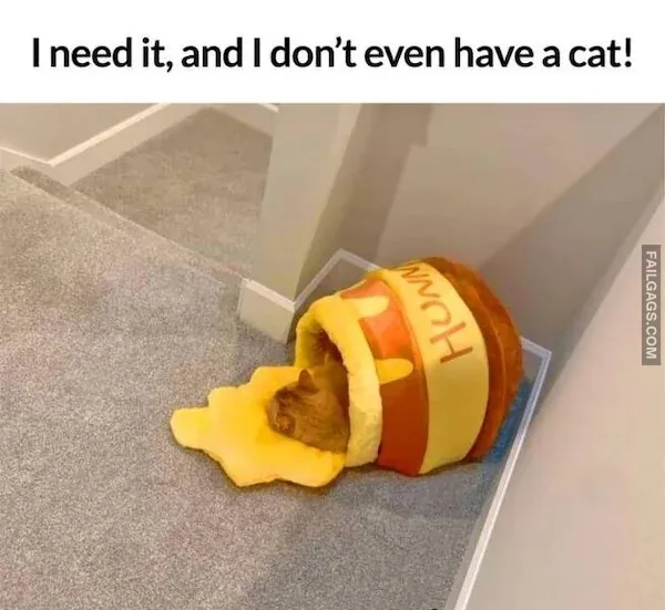 Random Funny Memes 6 1