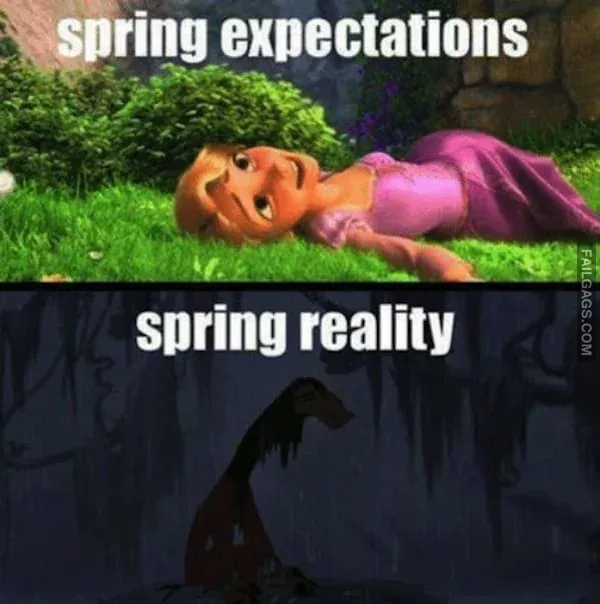 Random Funny Memes 7 1